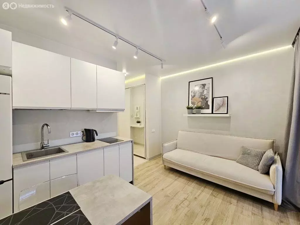 Квартира-студия: Санкт-Петербург, Планерная улица, 91к1 (19.5 м) - Фото 1