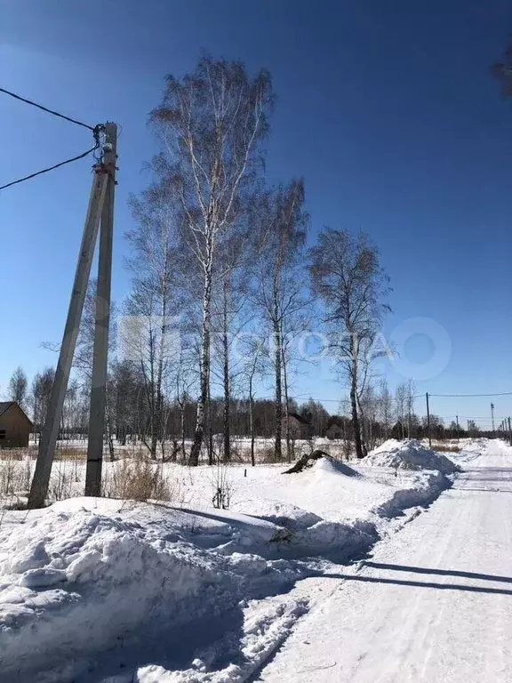 Участок 6,6 сот. (СНТ, ДНП) - Фото 1