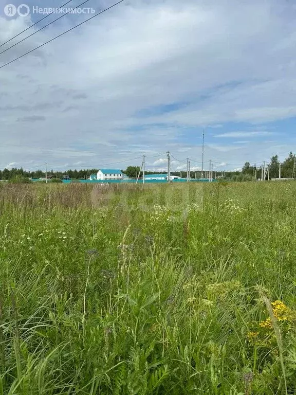 Участок в Тяжино, Фруктовая улица, 21 (591 м) - Фото 1