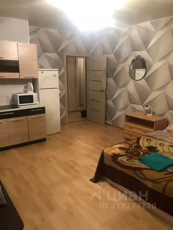 Студия Санкт-Петербург пос. Шушары, Московское ш., 246 (31.0 м) - Фото 0
