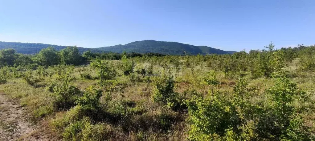Участок в Крым, Кировский район, с. Яркое Поле ул. Комсомольская (15.0 ... - Фото 1