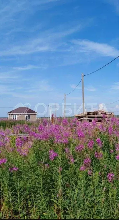 Участок в Тюменская область, Тюменский район, д. Малиновка  (5.0 сот.) - Фото 0