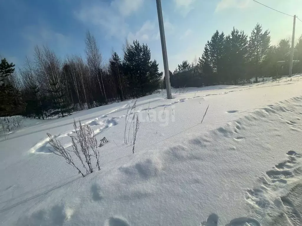 Участок в Свердловская область, Горноуральский городской округ, с. ... - Фото 1