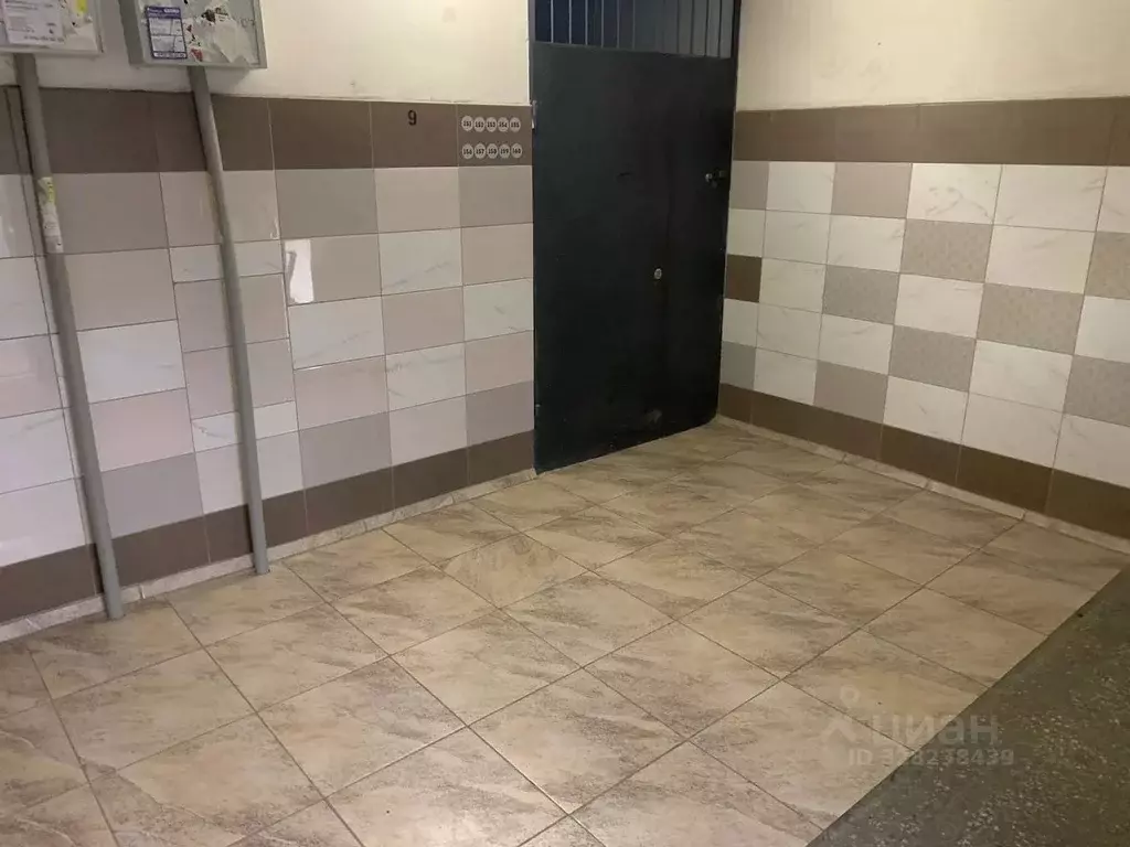 1-к кв. Омская область, Омск ул. Дмитриева, 5/3 (27.0 м) - Фото 2