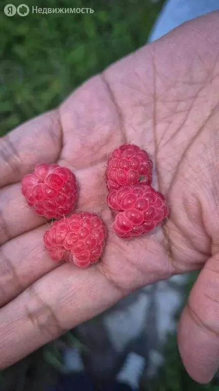 Дом в Республика Саха (Якутия), городской округ Якутск, село Маган (60 ... - Фото 1