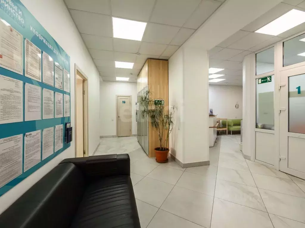 Торговая площадь в Новосибирская область, Новосибирск ул. ... - Фото 1