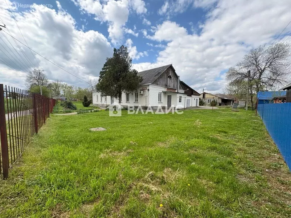 Помещение свободного назначения (331 м) - Фото 2