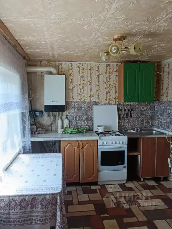 Дом в Нижегородская область, Бор муниципальный округ, д. Каликино ул. ... - Фото 1