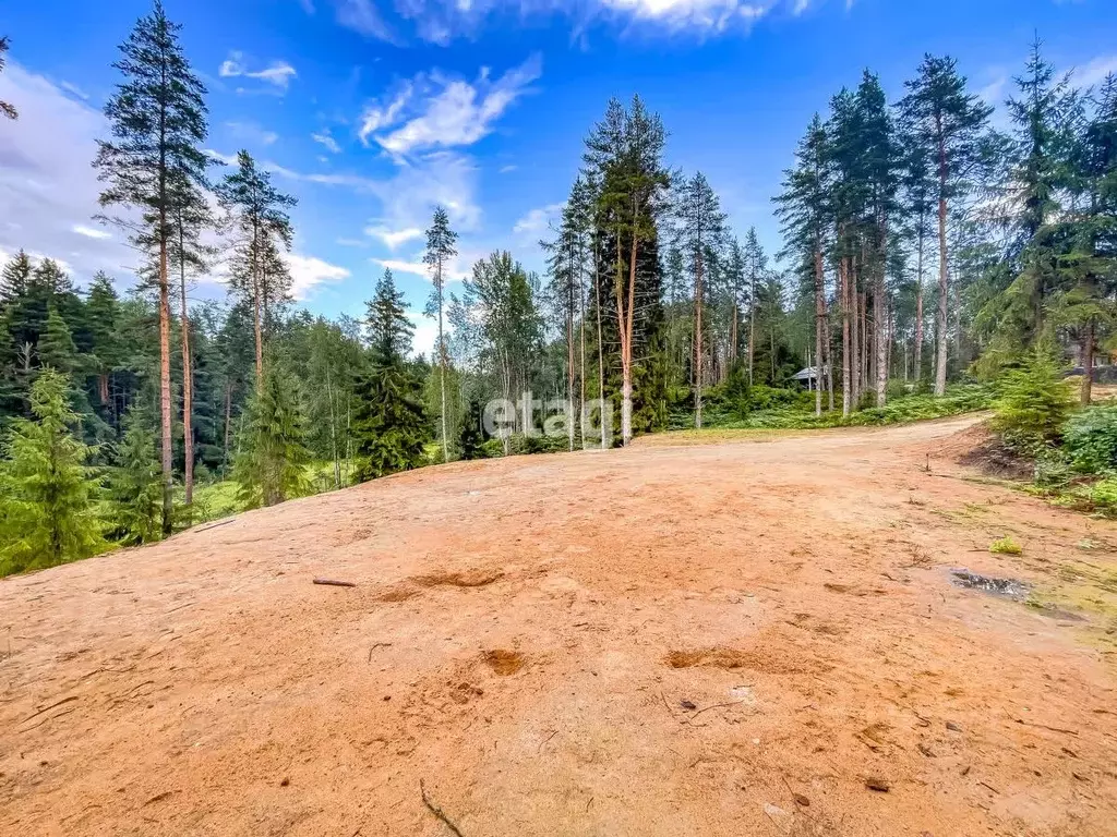 участок в ленинградская область, всеволожский район, куйвозовское . - Фото 1