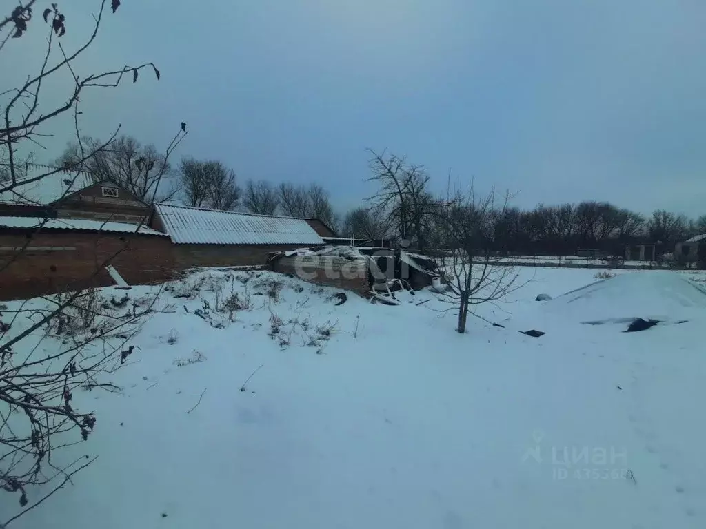 Участок в Белгородская область, Волоконовка рп ул. Молодежная (6.9 ... - Фото 0