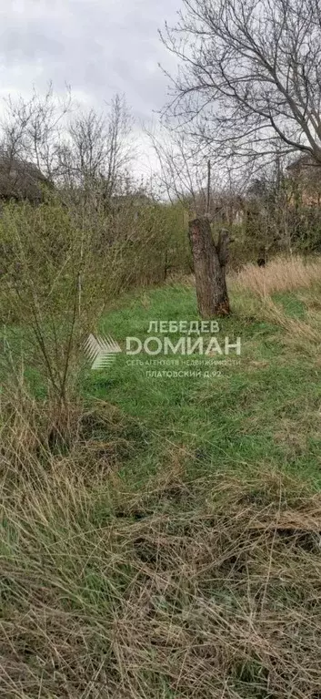 Участок в Ростовская область, Новочеркасск № 20 Ботаника садовое ... - Фото 2