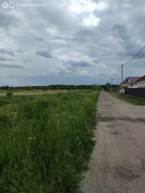Участок в Калининградская область, Гурьевский муниципальный округ, ... - Фото 1