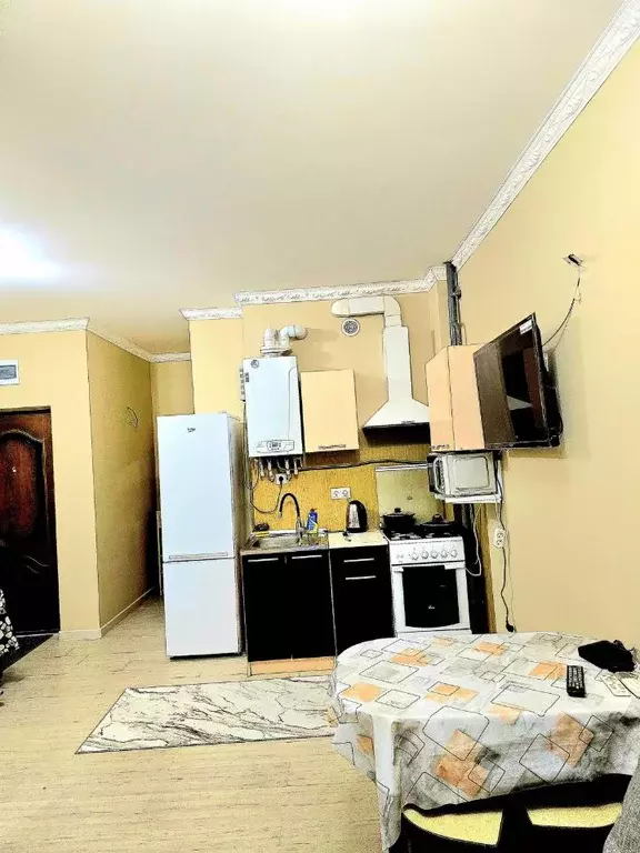 1-к кв. Краснодарский край, Сочи Агро СНТ, 16/2 (32.0 м) - Фото 1