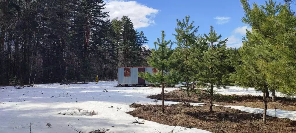 Участок в Владимирская область, Киржачский муниципальный округ, с. ... - Фото 1