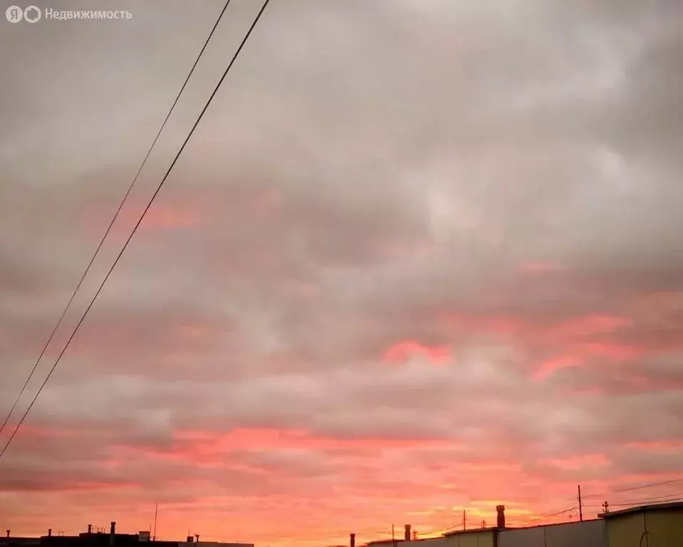 2-комнатная квартира: Великий Новгород, Западный район, улица ... - Фото 1