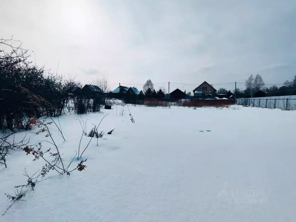 Участок в Новосибирская область, Коченевский район, Ветеран садовое ... - Фото 1