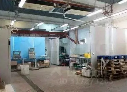 Производственное помещение в Саратовская область, Саратов ... - Фото 1