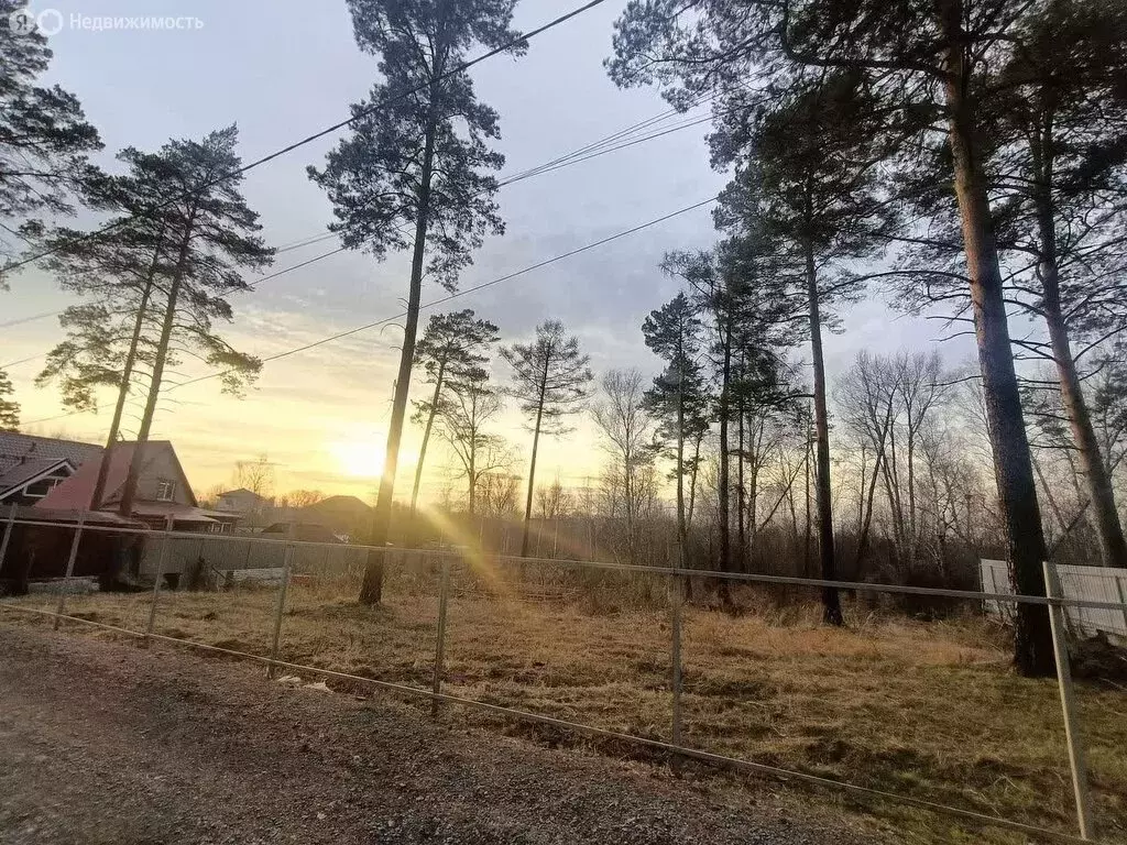 Участок в Новосибирск, СНТ Маяк, Правобережная улица (8 м) - Фото 2