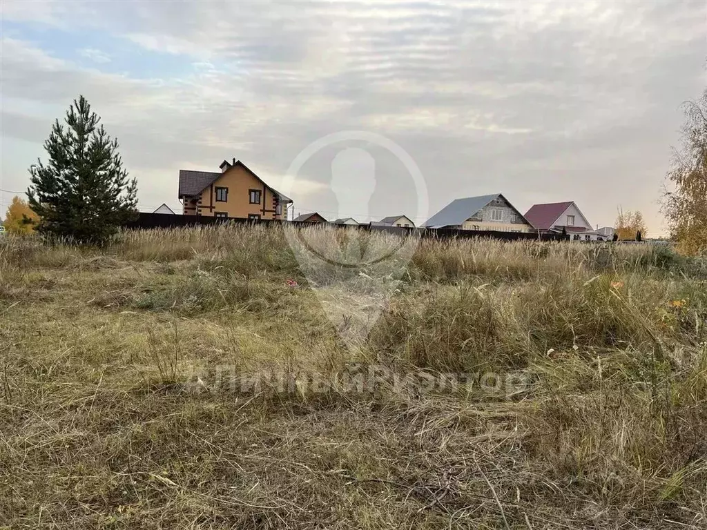 Участок в Рязанская область, Спасск-Рязанский ул. Спасская (10.0 сот.) - Фото 1