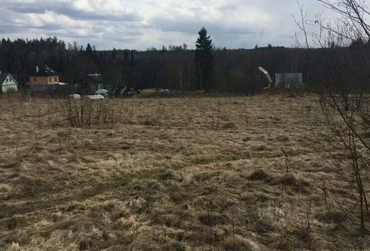 Участок в Ленинградская область, Лужский район, Толмачевское городское ... - Фото 2