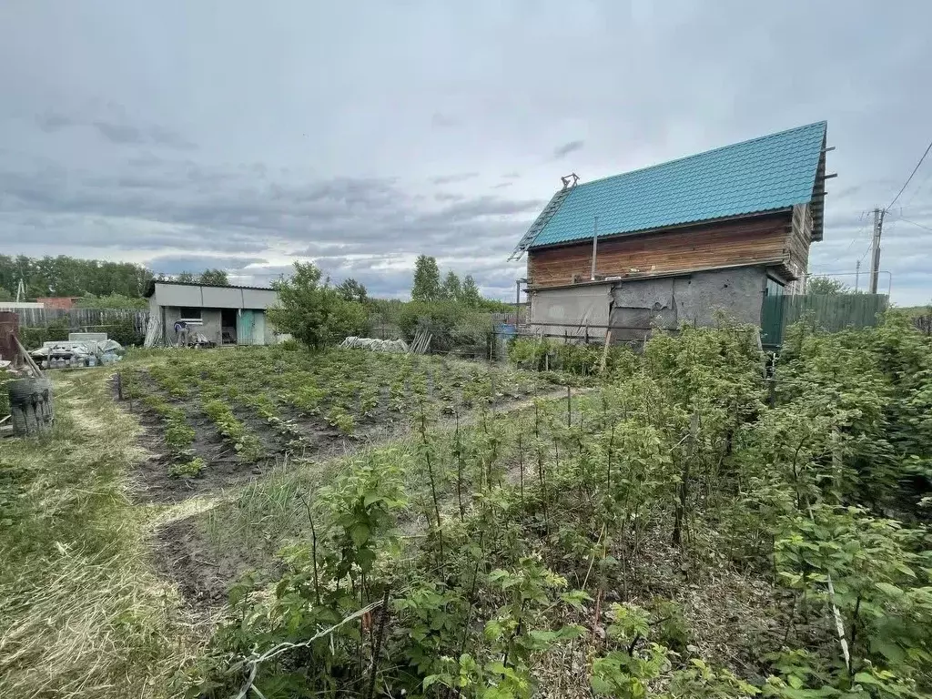 Участок в Курганская область, Курган ЖБИ 2 СТ, ул. Южная (5.7 сот.) - Фото 1