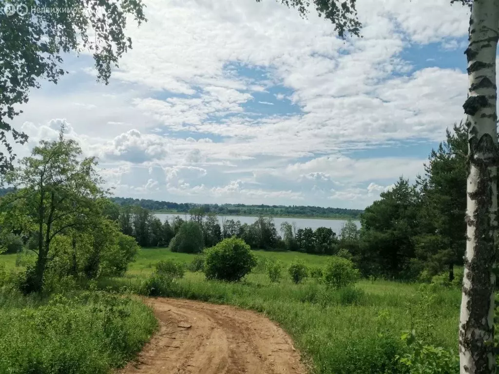 Участок в Скребловское сельское поселение, деревня Югостицы (10 м) - Фото 0