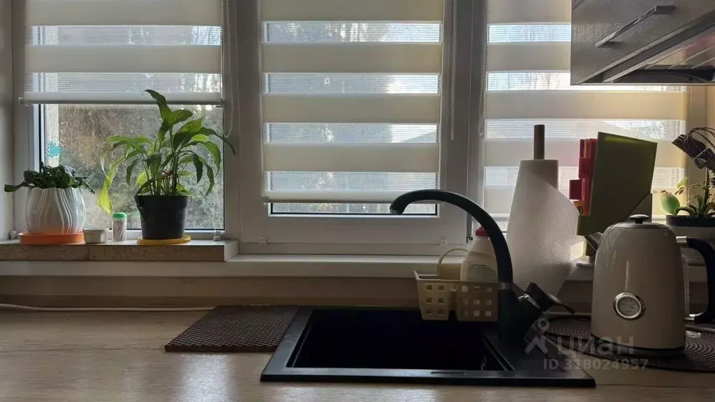 Студия Краснодарский край, Сочи ул. Тимирязева, 17А (27.0 м) - Фото 0
