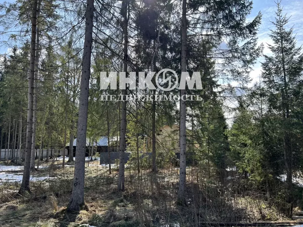 Участок в Московская область, Пушкинский городской округ, д. Могильцы, ... - Фото 1