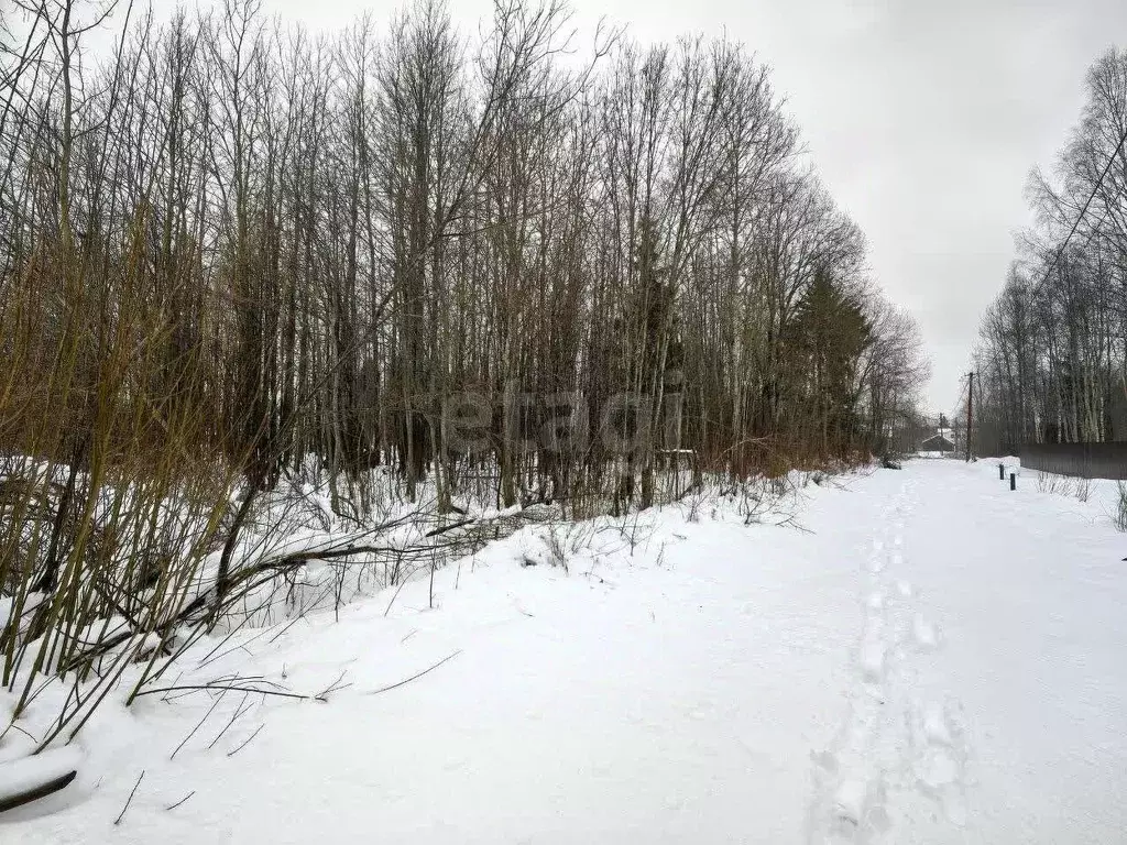 Участок в Ленинградская область, Волховский район, Кисельнинское ... - Фото 0