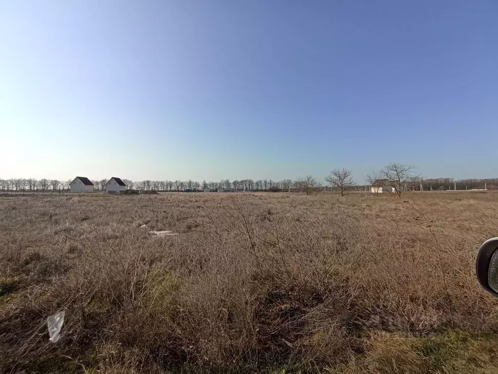 Участок в Краснодарский край, Темрюкский район, Краснострельское ... - Фото 1