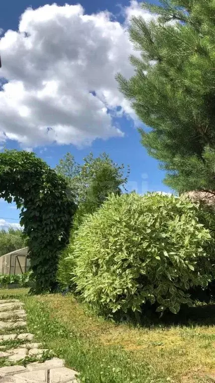 Дом в Томская область, Томский район, д. Петрово  (22 м) - Фото 1