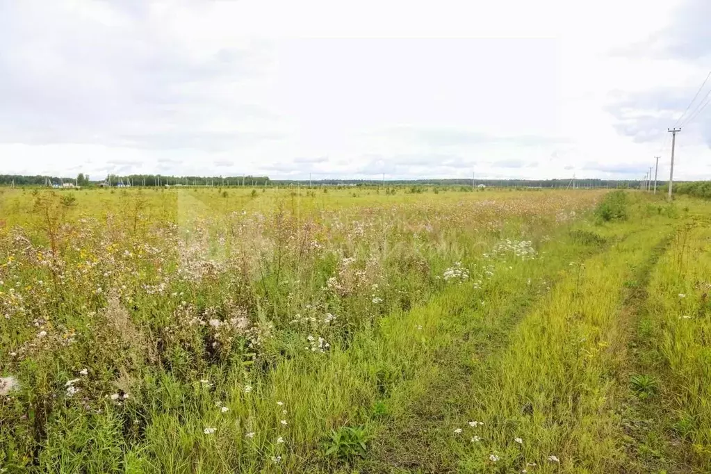 Участок в Тюменская область, Тюменский район, с. Кулига, Кулига-2 мкр  ... - Фото 0