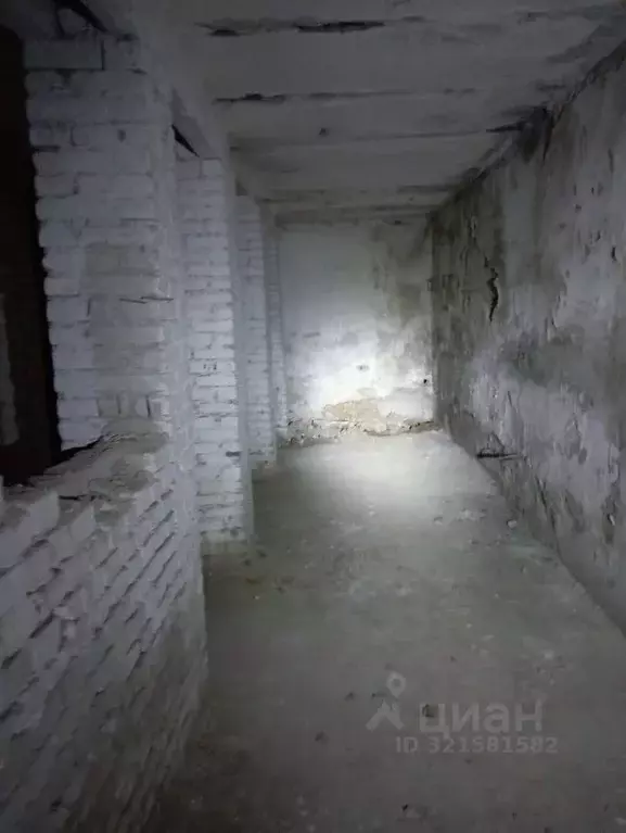 Помещение свободного назначения в Брянская область, Брянск ... - Фото 0
