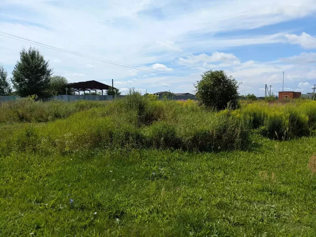 Участок в Московская область, Щелково городской округ, д. Еремино  ... - Фото 1