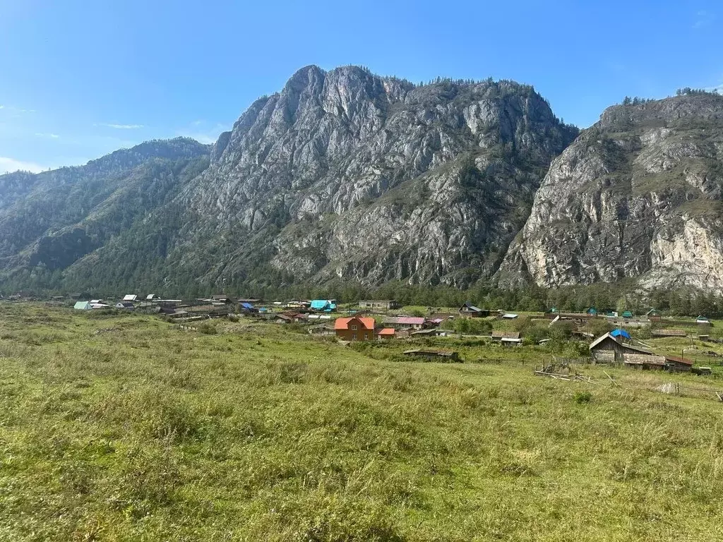 Участок в Алтай, Чемальский район, Чемальское с/пос  (11.51 сот.) - Фото 1
