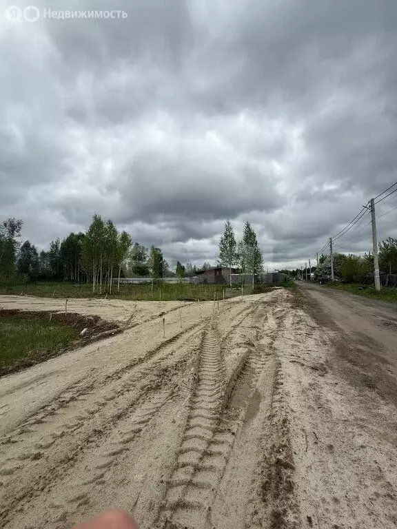 Участок в Нижнетавдинский район, товарищество собственников ... - Фото 1