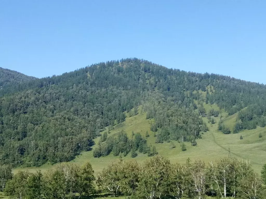 Участок в Алтай, Шебалинский район, с. Шебалино ул. Мелиораторов, 18 ... - Фото 1