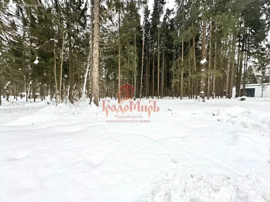 Участок в Московская область, Дмитровский муниципальный округ, деревня ... - Фото 2