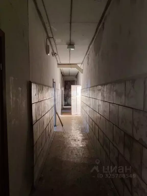 Помещение свободного назначения в Коми, Сыктывкар 1-я Промышленная ... - Фото 1