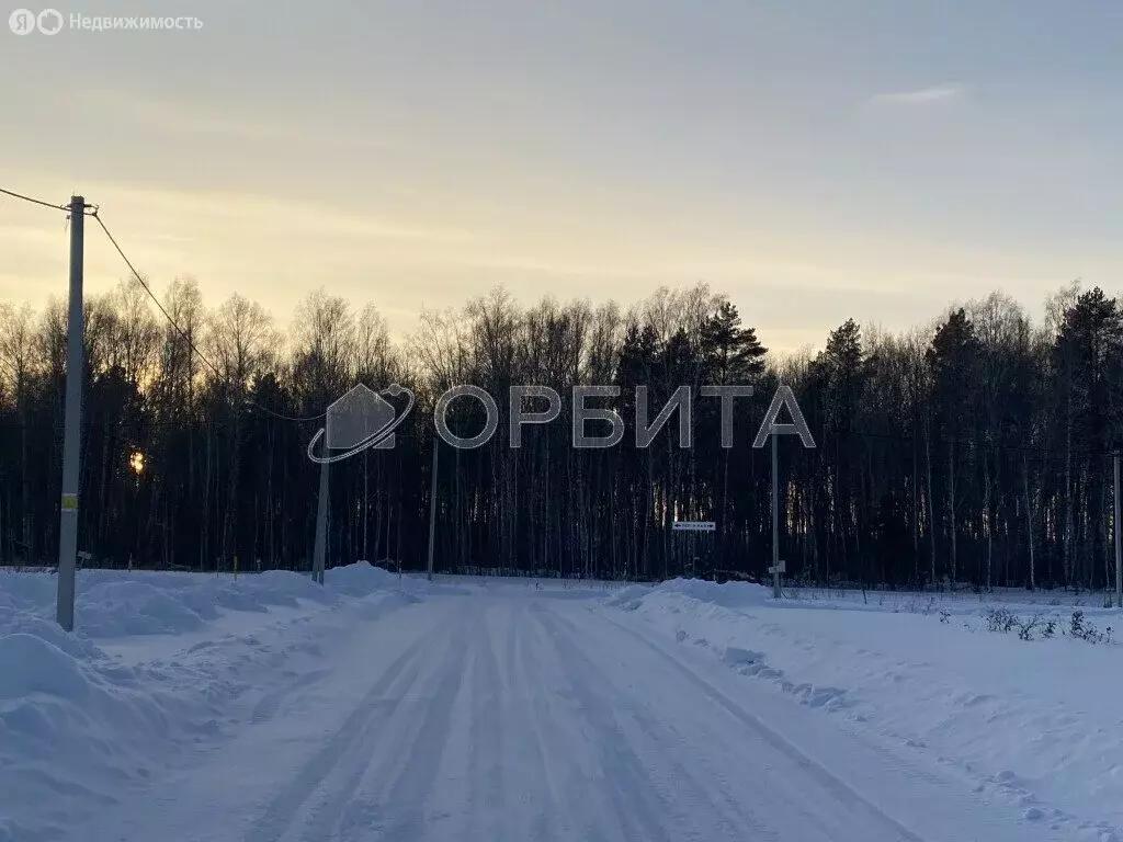 Участок в Тюменский район, село Кулига (15.57 м) - Фото 0