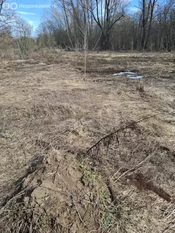 Участок в Иглинский район, Ивано-Казанский сельсовет, деревня Асканыш ... - Фото 1