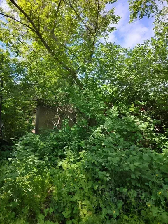 Участок в Самарская область, Кинель городской округ, Алексеевка пгт  ... - Фото 0