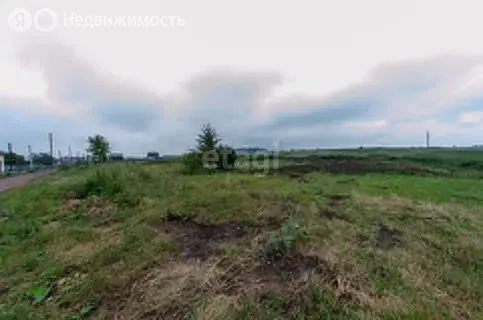 Участок в Курганская область, Сафакулевский муниципальный округ, село ... - Фото 1