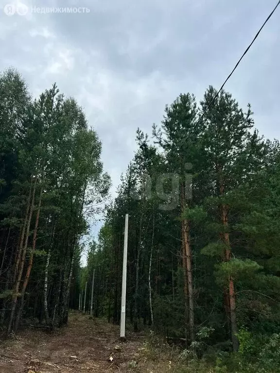 Участок в Кочкуровский район, село Новая Пырма (13 м) - Фото 2