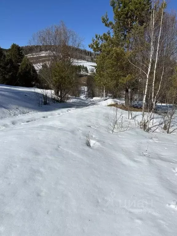 Участок в Алтай, Майминский район, с. Кызыл-Озек ул. Северная (20500.0 ... - Фото 2