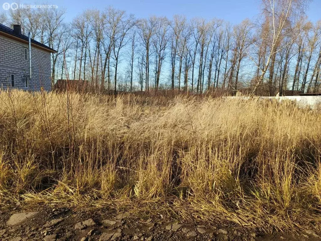 Участок в Раменский городской округ, село Никитское (13 м) - Фото 0