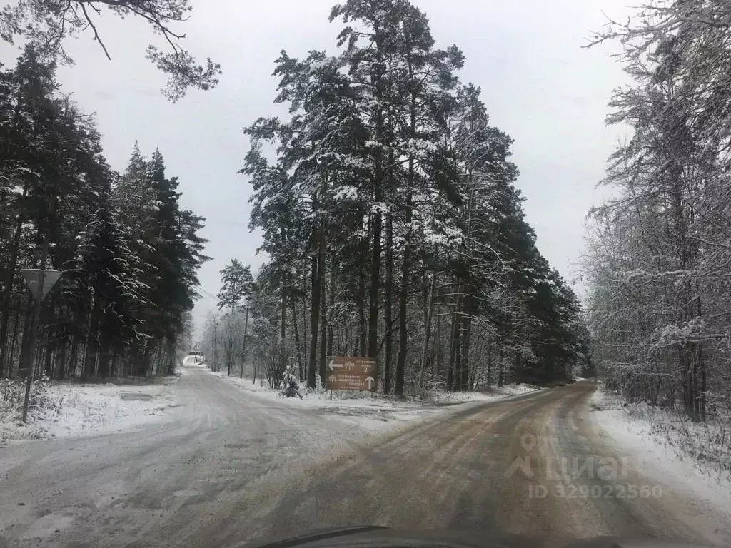 Участок в Ленинградская область, Приозерский район, Сосновское с/пос, ... - Фото 2