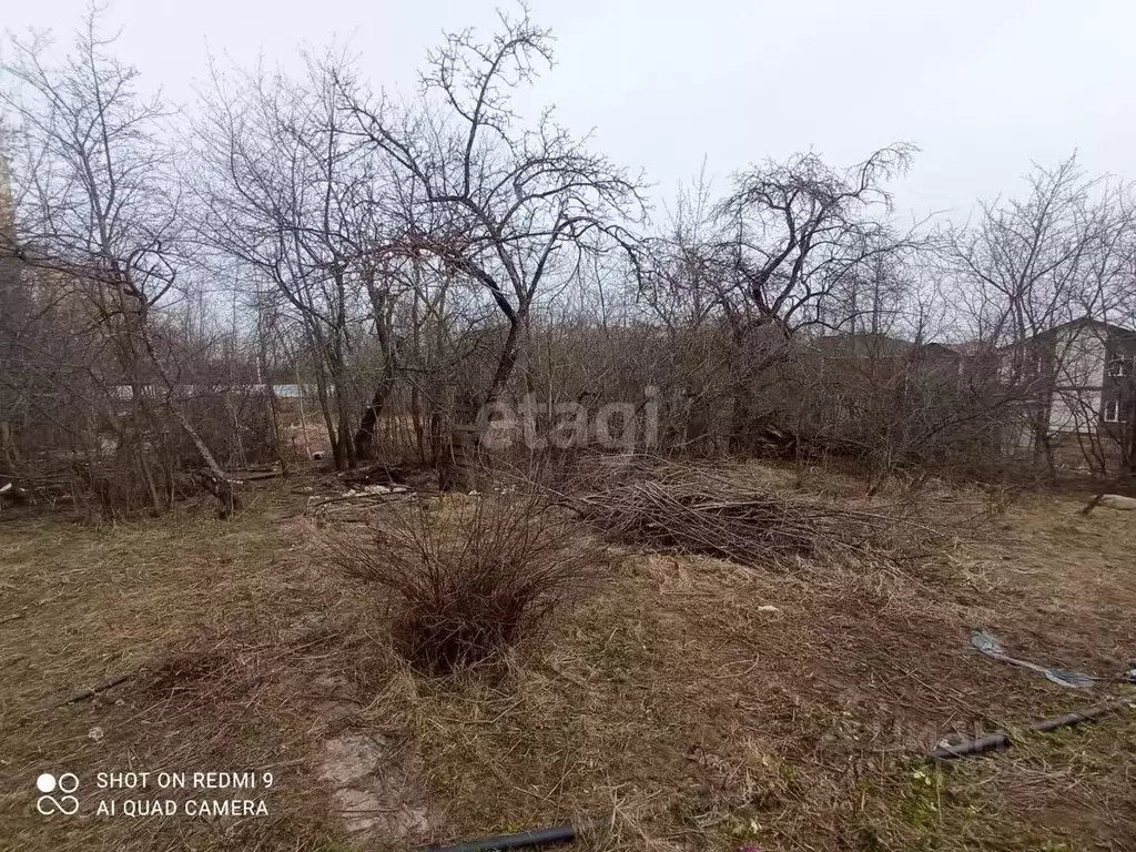 Участок в Нижегородская область, Нижний Новгород Маяк садовое ... - Фото 1