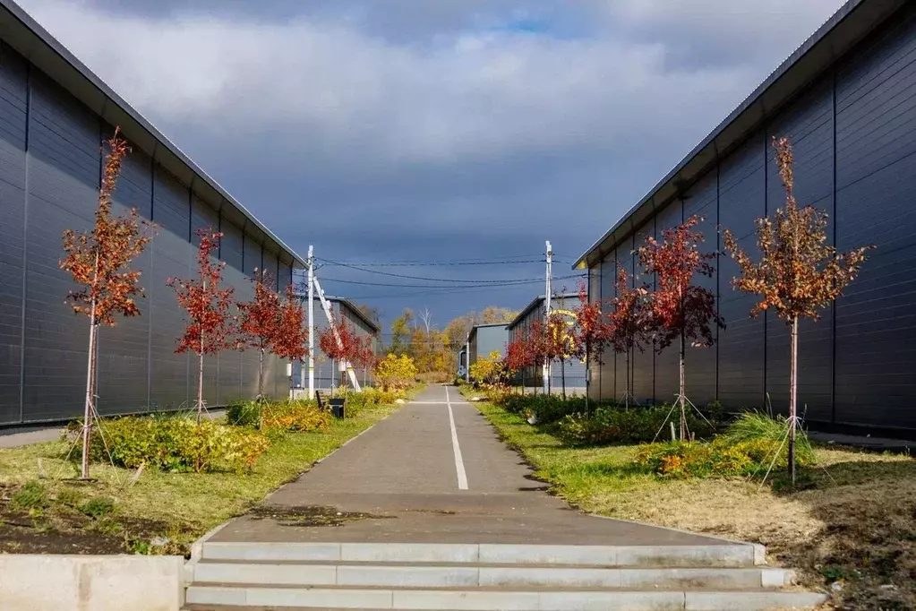 Склад в Воронежская область, Новоусманский район, с. Бабяково ул. ... - Фото 2