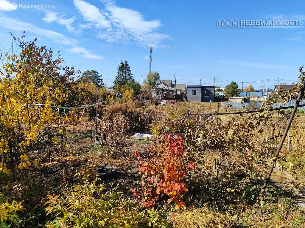 Участок в Оренбург, СНТ Мичуринец ГорИсп (8.5 м) - Фото 1